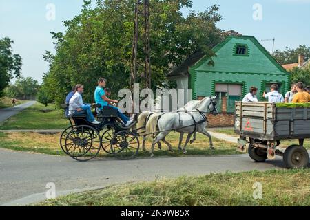 Aradac, Serbia, 7 settembre 2019. Una carrozza trainata da cavalli parte per una celebrazione. Tradizionale celebrazione slovacca dell'inizio dell'uva arva Foto Stock