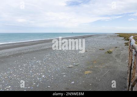 Pinguini magellanici sulla spiaggia di Cabo Virgenes al chilometro 0 del famoso Ruta40 nel sud dell'Argentina, Patagonia, Sud America Foto Stock