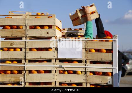 Scatole di arance, utilizzate per la battaglia di arance di Ivrea Foto Stock