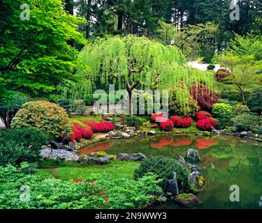 Vegetazione lussureggiante e fiorente nel Portland Japanese Park, Washington Park; Portland, Oregon, Stati Uniti d'America Foto Stock