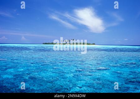 Piccola isola ricoperta di palme nelle Maldive; Maldive Foto Stock