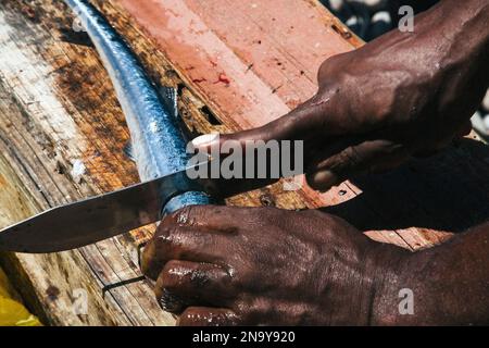 Fisherman taglia pesce fresco nel villaggio di pescatori di Scotts Head sull'isola di Dominica nelle Indie occidentali; Scotts Head, Dominica, Indie occidentali Foto Stock