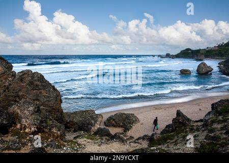 Rocce aspre e massi sulla spiaggia lungo la costa delle Barbados a Bathsheba; Bathsheba, Barbados Foto Stock