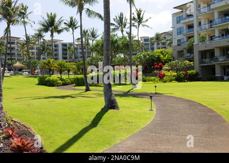 Sentiero che si snoda attraverso lussureggianti giardini tropicali in un resort hawaiano, Maui, Hawaii, USA; Maui, Hawaii, Stati Uniti d'America Foto Stock