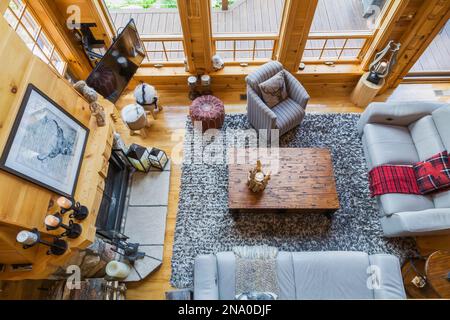 Vista dall'alto dei divani in pelle taupe, poltrona in tessuto a righe grigie e bianche, tavolino da caffè in legno e tappeto in lana neozelandese nel soggiorno. Foto Stock