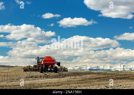 Trattore e seminatrice, seminare un campo con una catena montuosa innevata in lontananza con nuvole e cielo blu, a ovest di High River, Alberta Foto Stock