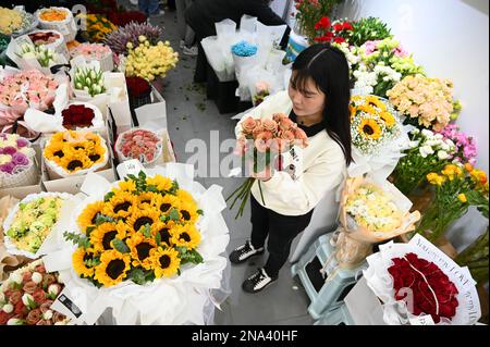 XUZHOU, CINA - 13 FEBBRAIO 2023 - un dipendente seleziona, organizza e confeziona i fiori in base a un ordine in un negozio di fiori nella contea di Suining, Xuzho Foto Stock