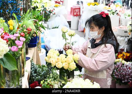 XUZHOU, CINA - 13 FEBBRAIO 2023 - un dipendente seleziona, organizza e confeziona i fiori in base a un ordine in un negozio di fiori nella contea di Suining, Xuzho Foto Stock