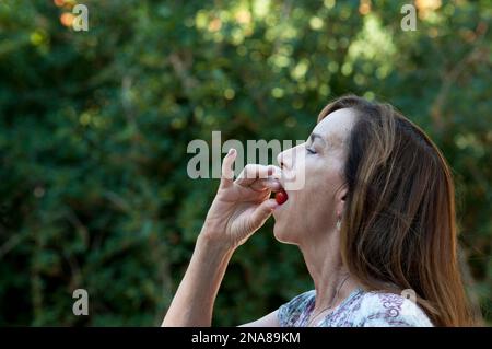 Donna anziana che mangia un pomodoro fresco di ciliegia (MR) Foto Stock