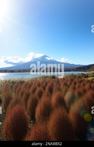 Una vista del Monte Fuji dal Lago Kawaguchiko nella prefettura di Yamanashi, Giappone. Foto Stock Una vista del Monte Fuji dal Lago Kawaguchiko nella prefettura di Yamanashi, Giappone. Foto Stock