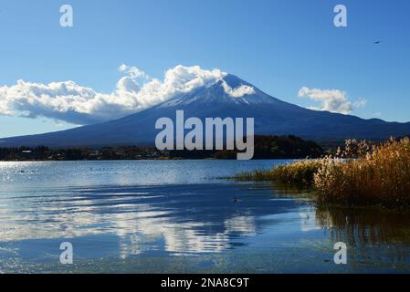 Una vista del Monte Fuji dal Lago Kawaguchiko nella prefettura di Yamanashi, Giappone. Foto Stock