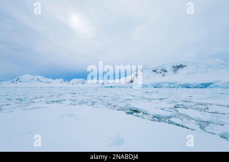 Ghiaccio nel canale di Neumayer; Antartide Foto Stock