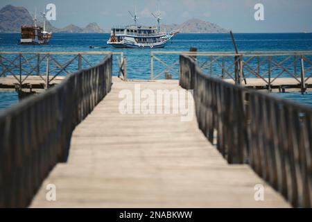 Navi di lusso ormeggiate al largo della costa e viste da un molo di legno, il Parco Nazionale di Komodo; Nusa Tenggara Est, Indonesia Foto Stock