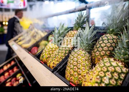 Berlino, Germania. 08th Feb, 2023. L'ananas è esposto alla Fruit Logistica. Fruit Logistica è una fiera internazionale per il marketing di frutta e verdura. Credit: Fabian Sommer/dpa/Alamy Live News Foto Stock