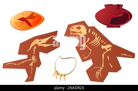 Reperti archeologici e paleontologici cartoni animati illustrazione vettoriale. Antico vaso in ceramica, scheletro di dinosauro fossile, insetto ambrato e collana dentale, isolato su bianco Illustrazione Vettoriale