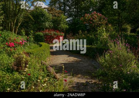 Giardino di campagna francese percorso a Jardin d'Elle Foto Stock