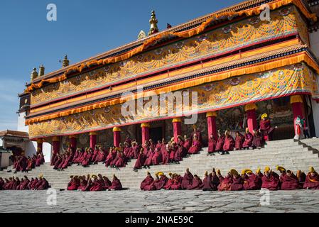 Monaci nel cortile di discussione del monastero di Labrang; Labrang, Amdo, Cina Foto Stock