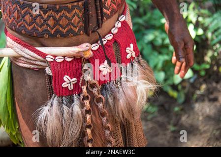 Ornamenti in vita di un tribesman di Huli nella zona della Valle di Tari, nelle Highlands meridionali della Papua Nuova Guinea. Foto Stock