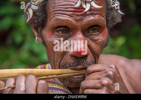 I tribali di Huli nella zona della Valle di Tari, nelle Highlands meridionali della Papua Nuova Guinea. Foto Stock