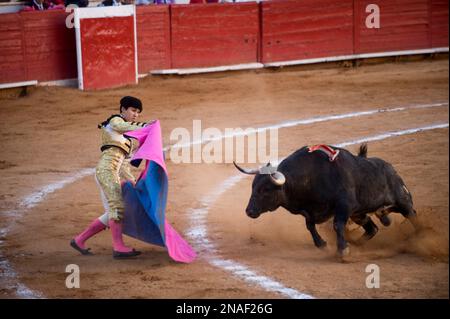 In una corrida a città del Messico, un toro accusa un Matador; città del Messico, Messico Foto Stock