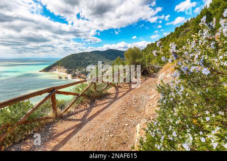 Stupende isolette Faraglioni di Puglia in estate baia mare Adriatico Baia delle Zagare. Mattinata Faraglioni e costa di Mergoli, Vieste Garg Foto Stock