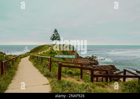 Un Tree Point che guarda all'oceano a Tuross Head. Foto Stock