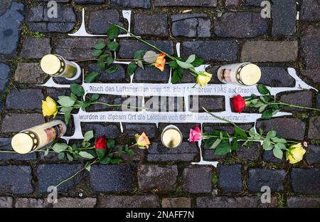 Dresda, Germania. 13th Feb, 2023. Le rose si trovano nel 78th° anniversario della distruzione di Dresda nella seconda guerra mondiale sull'Altmarkt, in un memoriale per ricordare le vittime del bombardamento di Dresda. Il 13 febbraio, la capitale dello stato di Dresda commemora la distruzione della città nella seconda guerra mondiale 78 anni fa. Il 13 e 14 febbraio 1945, i bombardieri alleati riducevano il centro della città sull'Elba a macerie. Fino a 25.000 persone hanno perso la vita. Credit: Robert Michael/dpa/Alamy Live News Foto Stock