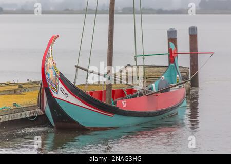 Torreira Aveiro Portugal - 08 07 2022 : Vista dettagliata di una barca moliceiro, una barca tradizionale utilizzata per raccogliere le alghe, Aveiro Lagoon e le rive come indietro Foto Stock