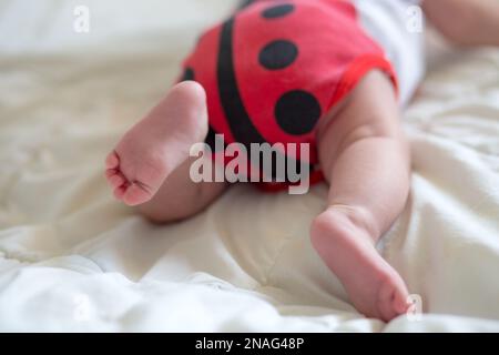 Bambino booty nel corpo in forma ladybug. il neonato è sdraiato sul ventre. Il bambino sta cercando di strisciare. Bambino dalla parte posteriore. Foto Stock