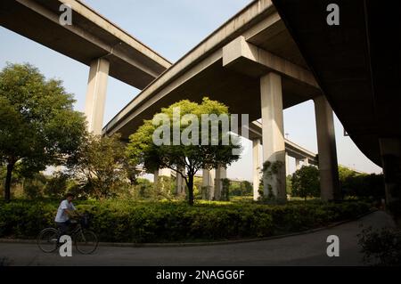 L'uomo guida la sua bici sotto lo scambio di polpi a Shanghai; Shanghai, Cina Foto Stock