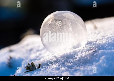 Bolle di sapone surgelate con struttura delicata e motivi filigrana come una macro fotografia in inverno. Bolle di sapone surgelate in inverno freddo, sembra Foto Stock