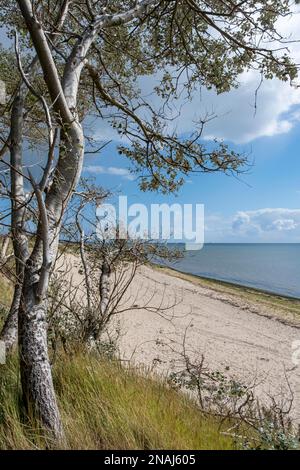 Spiaggia vicino Hedehusum, Utersum, Mare del Nord Isola Foehr Foto Stock