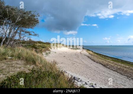 Spiaggia vicino Hedehusum, Utersum, Mare del Nord Isola Foehr Foto Stock