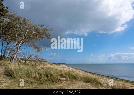 Spiaggia vicino Hedehusum, Utersum, Mare del Nord Isola Foehr Foto Stock