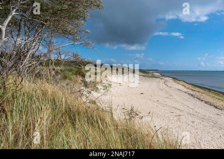 Spiaggia vicino Hedehusum, Utersum, Mare del Nord Isola Foehr Foto Stock