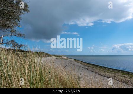 Spiaggia vicino Hedehusum, Utersum, Mare del Nord Isola Foehr Foto Stock