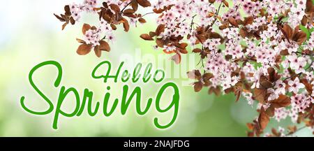 Ciao primavera. Rami di albero con bei fiori all'aperto, banner design Foto Stock