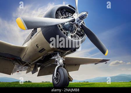 vista frontale di un aereo storico Foto Stock