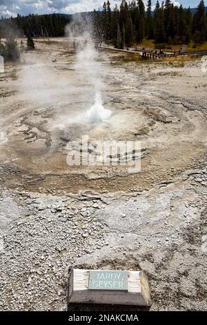 Tardy geyser nel parco nazionale di Yellowstone. Wyoming. STATI UNITI Foto Stock