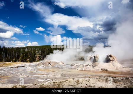 Grotta Geyser nel Parco Nazionale di Yellowstone. Wyoming. STATI UNITI Foto Stock