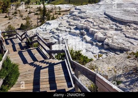 Minerva Terrace presso le sorgenti termali di Mammoth. Parco nazionale di Yellowstone. Wyoming. STATI UNITI Foto Stock