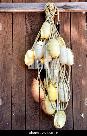 Boe bianche da nuoto appese su una parete di legno Foto Stock