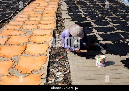 Dhaka, Dhaka, Bangladesh. 13th Feb, 2023. I lavoratori tinganno la pelle e la asciugano al sole in una piccola fabbrica a Hemayetpur, Dhaka. Queste pelli lavorate vengono portate dalla fabbrica e tinte e inviate ai venditori. Diversi tipi di prodotti in pelle tra cui scarpe, borse, portafogli sono realizzati con queste pelli. (Credit Image: © Syed Mahabubul Kader/ZUMA Press Wire) SOLO PER USO EDITORIALE! Non per USO commerciale! Foto Stock