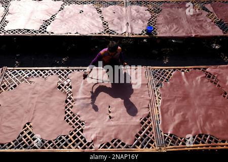 Dhaka, Dhaka, Bangladesh. 13th Feb, 2023. I lavoratori tinganno la pelle e la asciugano al sole in una piccola fabbrica a Hemayetpur, Dhaka. Queste pelli lavorate vengono portate dalla fabbrica e tinte e inviate ai venditori. Diversi tipi di prodotti in pelle tra cui scarpe, borse, portafogli sono realizzati con queste pelli. (Credit Image: © Syed Mahabubul Kader/ZUMA Press Wire) SOLO PER USO EDITORIALE! Non per USO commerciale! Credit: ZUMA Press, Inc./Alamy Live News Foto Stock