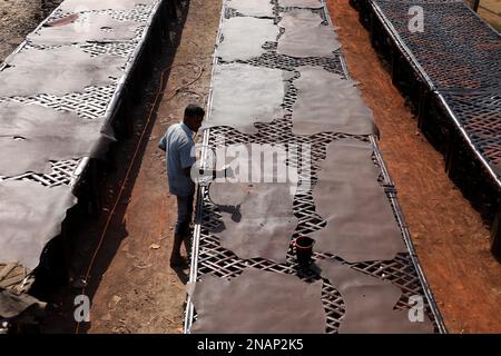 Dhaka, Dhaka, Bangladesh. 13th Feb, 2023. I lavoratori tinganno la pelle e la asciugano al sole in una piccola fabbrica a Hemayetpur, Dhaka. Queste pelli lavorate vengono portate dalla fabbrica e tinte e inviate ai venditori. Diversi tipi di prodotti in pelle tra cui scarpe, borse, portafogli sono realizzati con queste pelli. (Credit Image: © Syed Mahabubul Kader/ZUMA Press Wire) SOLO PER USO EDITORIALE! Non per USO commerciale! Credit: ZUMA Press, Inc./Alamy Live News Foto Stock