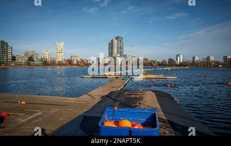 Nuovi sviluppi di alloggi lungo il bordo di Woodbury Wetlands sul serbatoio orientale, Harringay, Londra, Regno Unito Foto Stock