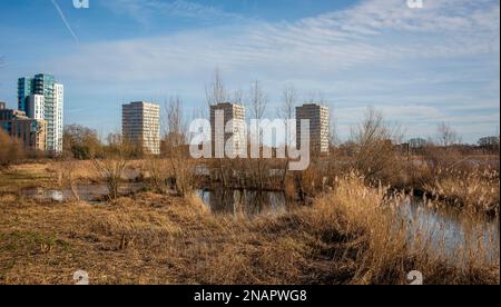 Nuovi sviluppi di alloggi lungo il bordo di Woodbury Wetlands sul serbatoio orientale, Harringay, Londra, Regno Unito Foto Stock