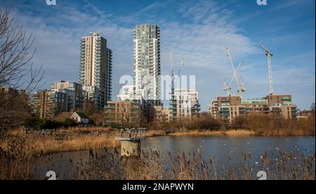 Nuovi sviluppi di alloggi lungo il bordo di Woodbury Wetlands sul serbatoio orientale, Harringay, Londra, Regno Unito Foto Stock