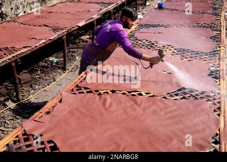 Dhaka, Dhaka, Bangladesh. 13th Feb, 2023. I lavoratori tinganno la pelle e la asciugano al sole in una piccola fabbrica a Hemayetpur, Dhaka. Queste pelli lavorate vengono portate dalla fabbrica e tinte e inviate ai venditori. Diversi tipi di prodotti in pelle tra cui scarpe, borse, portafogli sono realizzati con queste pelli. (Credit Image: © Syed Mahabubul Kader/ZUMA Press Wire) SOLO PER USO EDITORIALE! Non per USO commerciale! Foto Stock