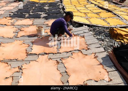 Dhaka, Dhaka, Bangladesh. 13th Feb, 2023. I lavoratori tinganno la pelle e la asciugano al sole in una piccola fabbrica a Hemayetpur, Dhaka. Queste pelli lavorate vengono portate dalla fabbrica e tinte e inviate ai venditori. Diversi tipi di prodotti in pelle tra cui scarpe, borse, portafogli sono realizzati con queste pelli. (Credit Image: © Syed Mahabubul Kader/ZUMA Press Wire) SOLO PER USO EDITORIALE! Non per USO commerciale! Foto Stock